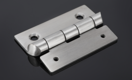 Stainless Steel Cabinet Door