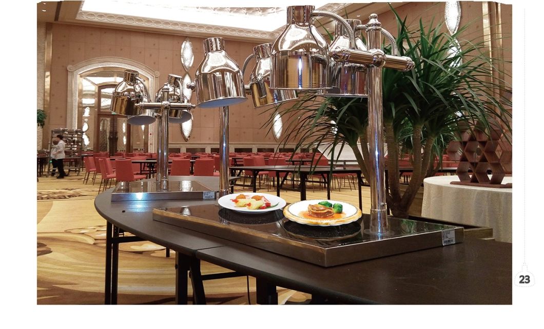 Multi-Head European Heat Preservation Lamp