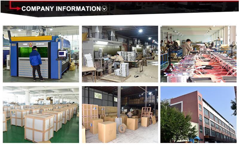 Food & Beverage Machinery Chicken Equipment Potato Gas Fryer Machine with Ce Certification