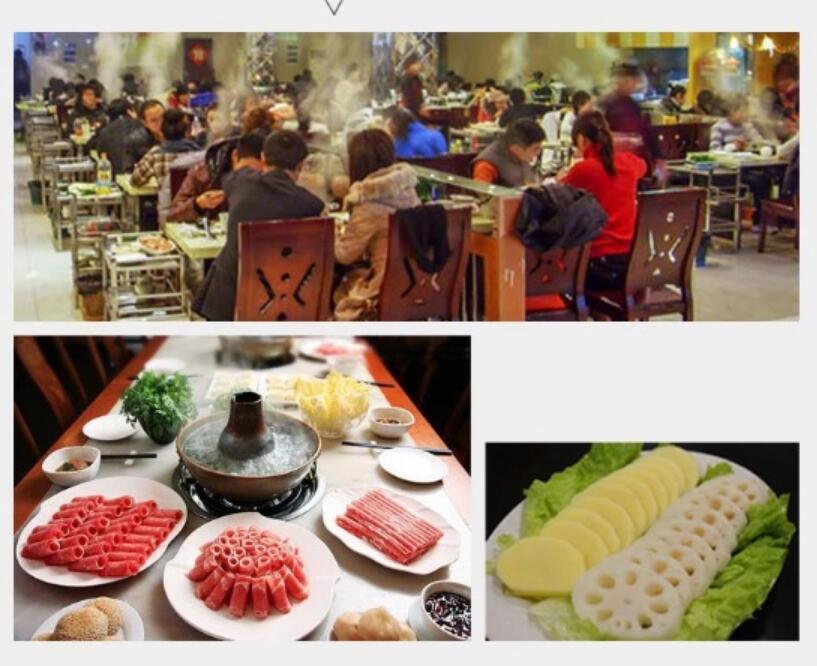 Restaurant Multi-Functional Vegetable Cutter with 5 Free Blades