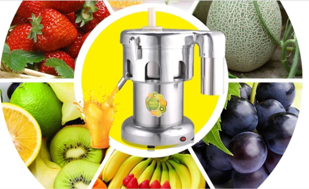 Commercial Fruit and Vegetable Fruit Juice, Apple Juice Making Machine